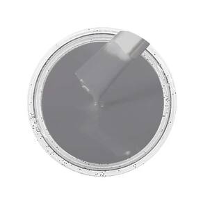 Cor Sólida Cinza Platinum Ag - Ral7036 100G