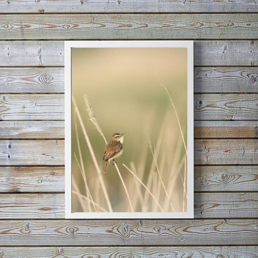 Quadro Decorativo Bege Passarinho Natureza 24X18Cm - Vidro