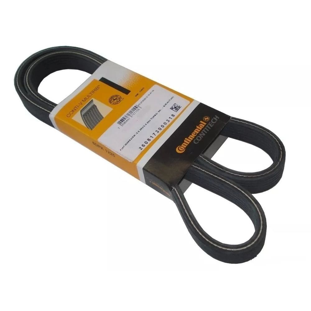 Correia Poly V Astra Omega Vectra Xsara Suprema 6Pk1725