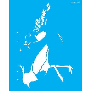 Stencil 20X25 Animal Pássaro Quero-Quero - Opa 3165