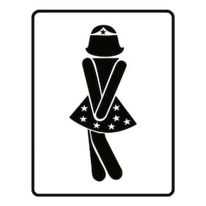 Kit 5 Placas Banheiro Feminino Mulher 36X46