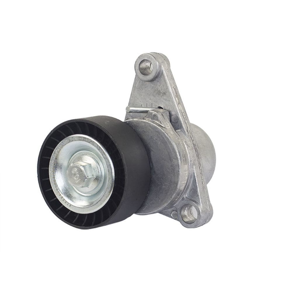 Rolamento tensor do alternador 307 / C3