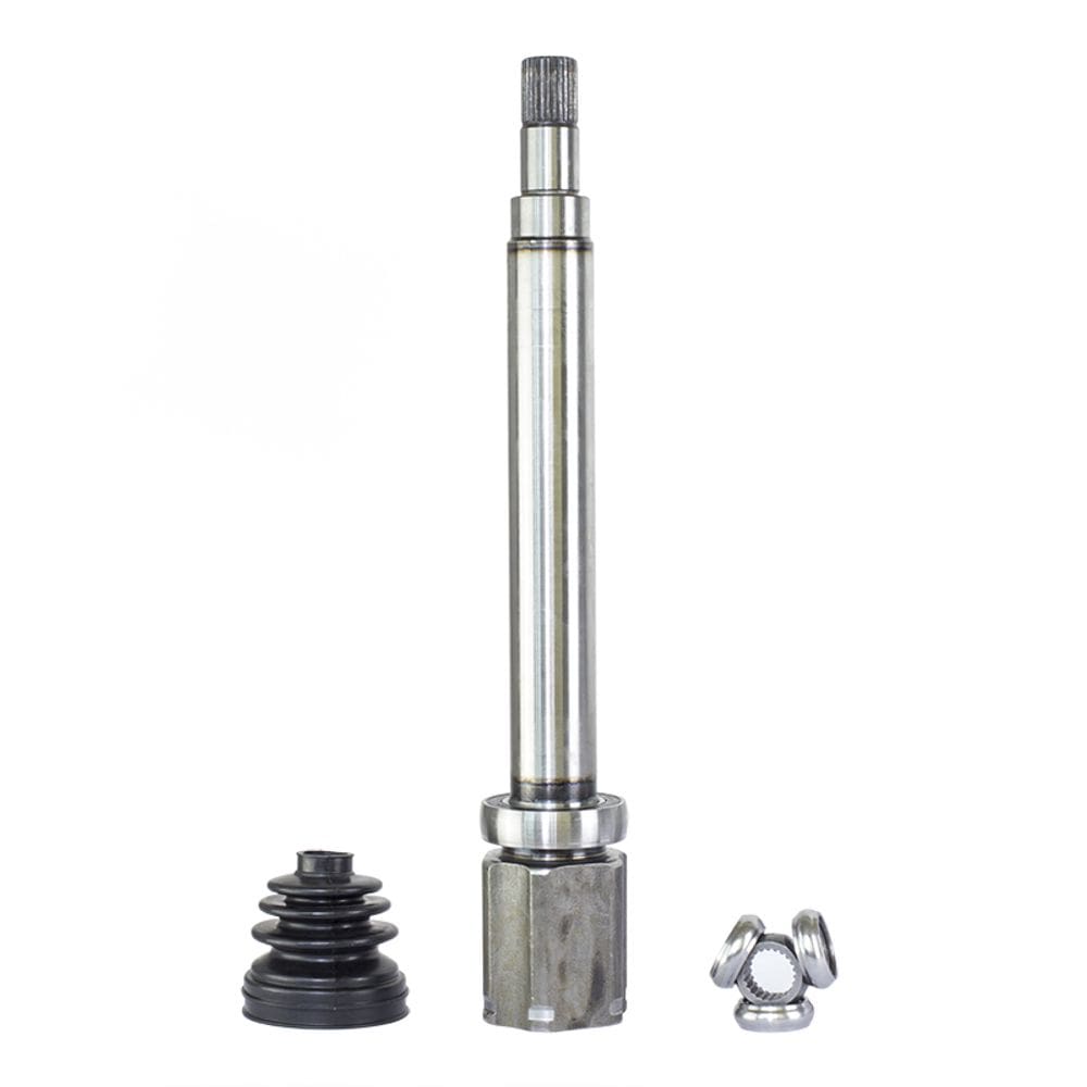 Tulipa Focus  direito