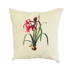 Capa De Almofada 45X45 Amarilis Formosissima