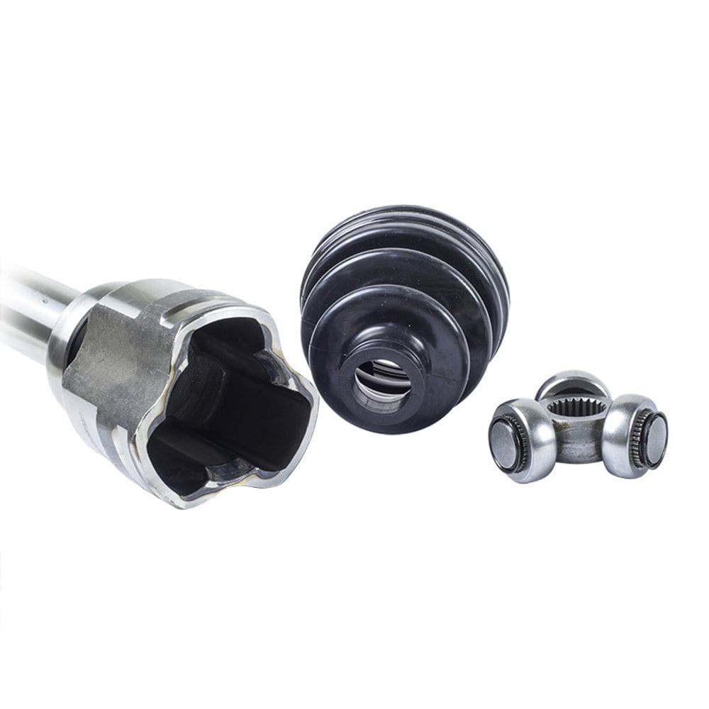 Tulipa Focus  direito