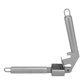 Espremedor De Alho Moderno Em Aço Inox 19Cm Wincy