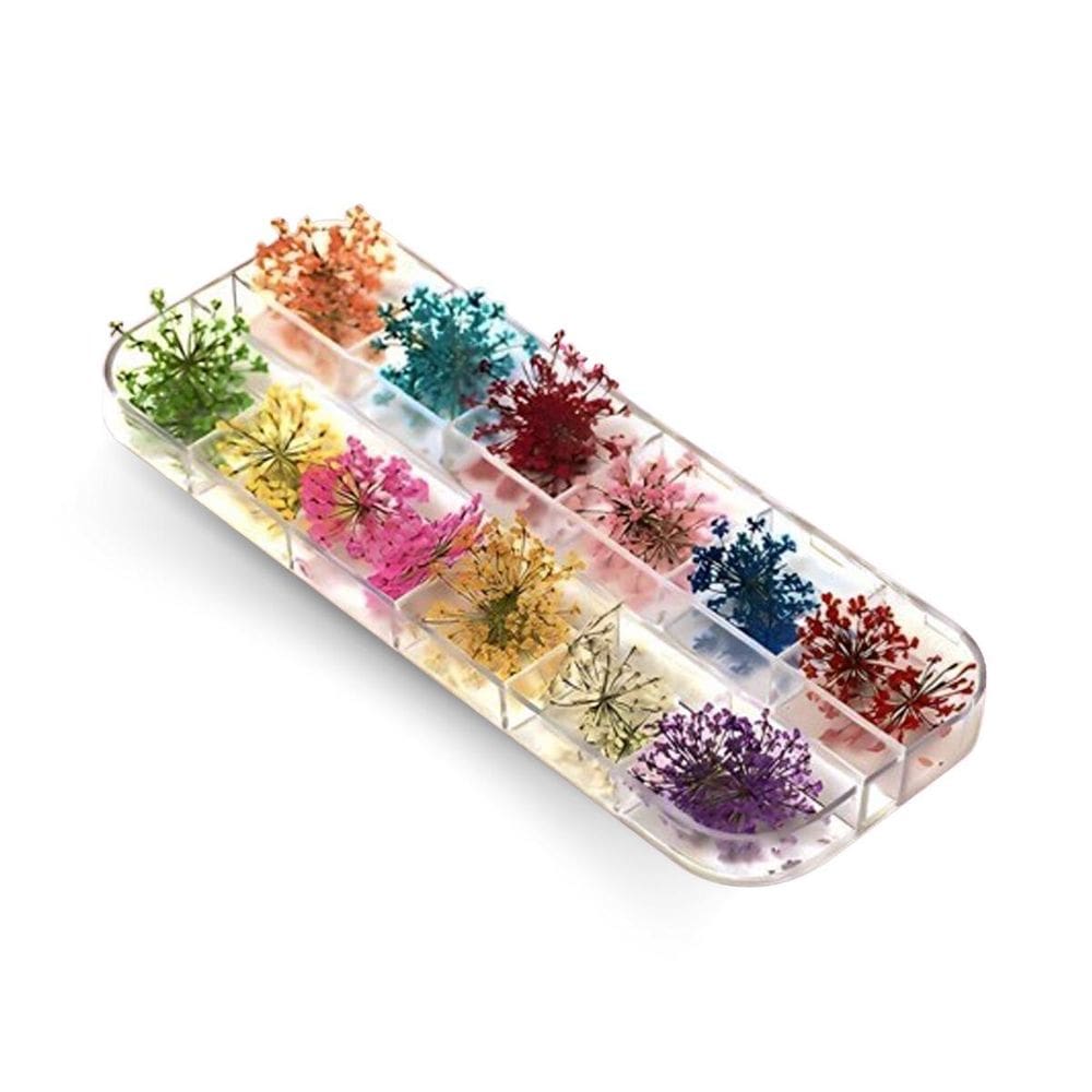 Flores Secas Para Decoração E Encapsulamento De Unhas Gel