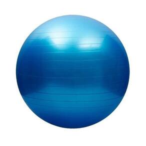 Bola Inflável Exercícios Yoga Abdominal Ginástica 55Cm Azul