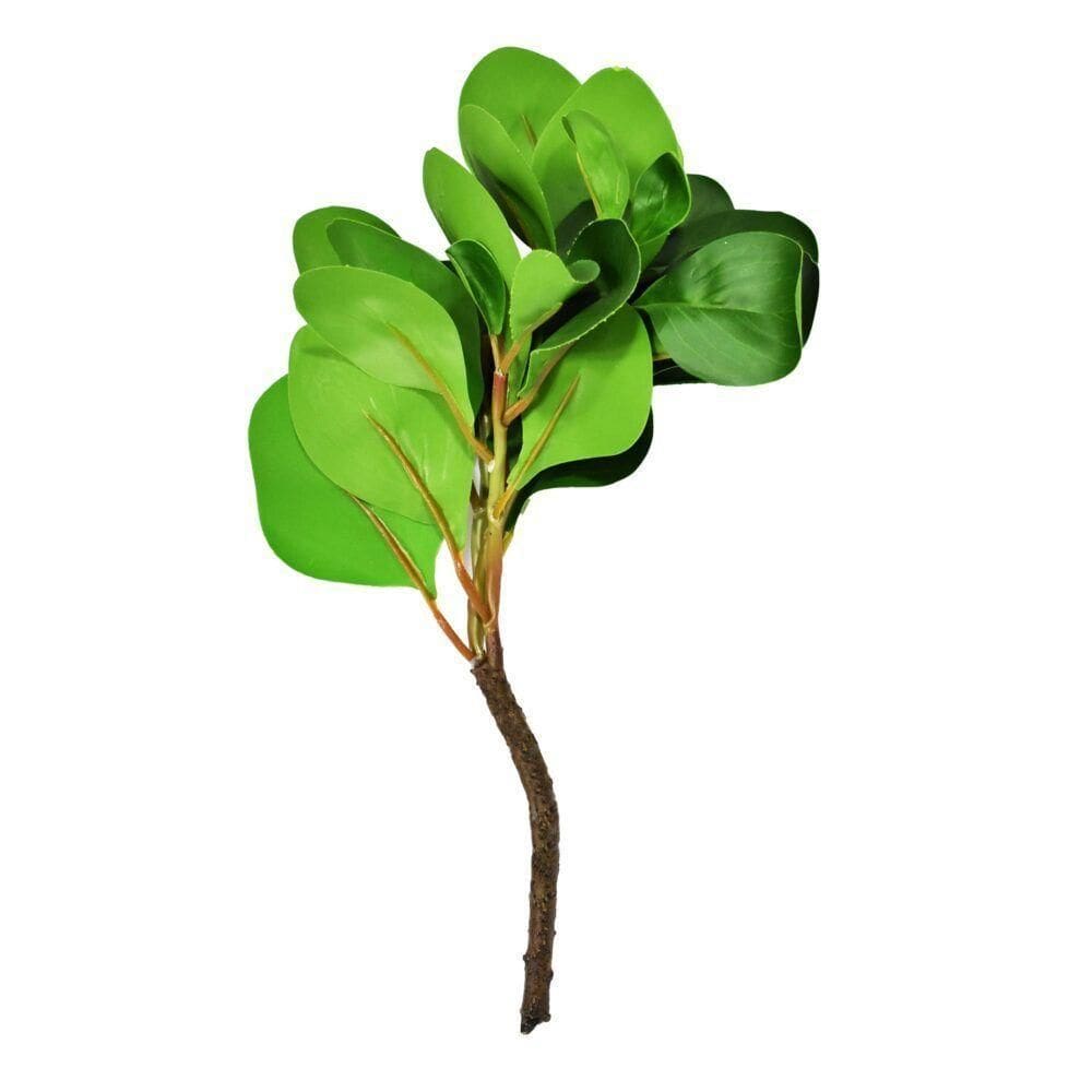 Folhagem Clusia Real Toque Para Decoração Flor Arte Verde 33cm