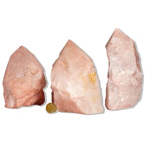 10 Cristal Rosa Pé e Bico Serrado 1 a 2Kg 10 a 20cm Tipo B