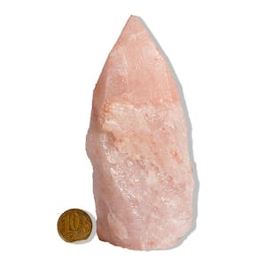 01 Cristal Rosa Pedra Pé e Bico Serrado 450g 13cm Tipo B