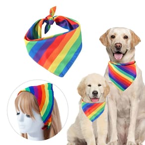 Bandana Arco Iris Rainbow Lgbt Festa Carnaval Pet Lenço Cabelo