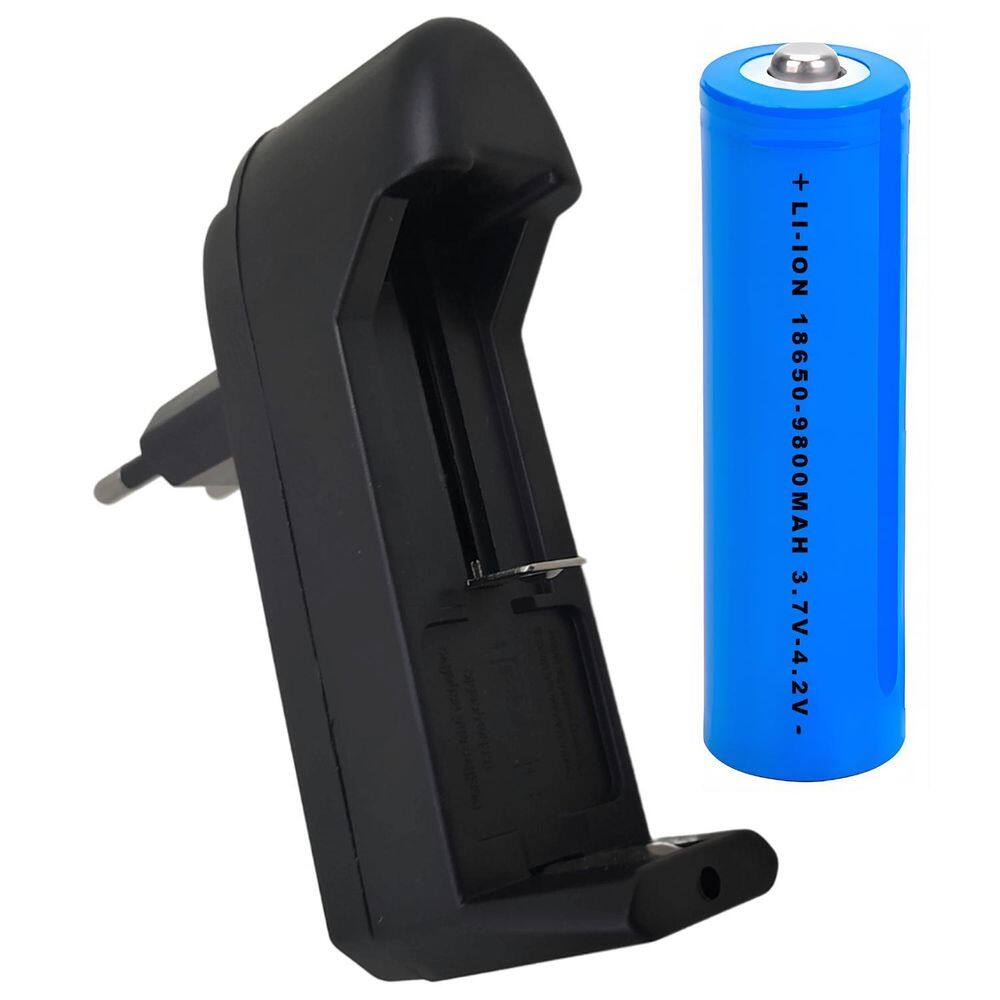 Kit Bateria 18650 Pilha Recarregável Li-Ion 3.7V A 4.2V
