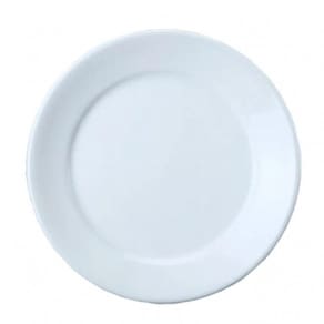 Jogo De 10 Pratos Rasos Jantar Porcelana 24,5 Cm Bar Hotel Germer