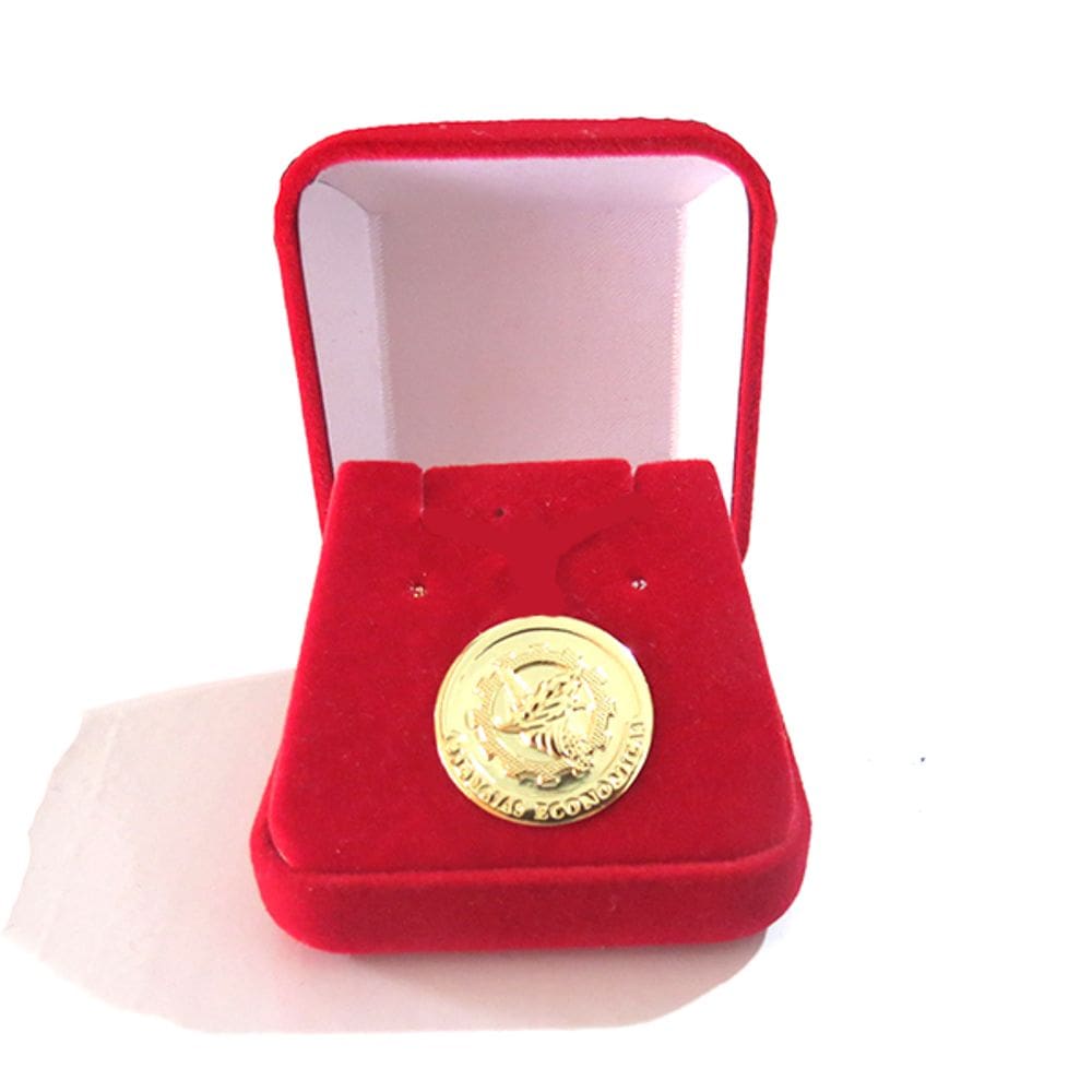 Broche Botton Economia Folheado Ouro 18k