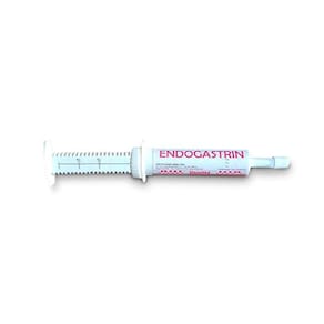 Endogastrin Pasta - 40 Gr