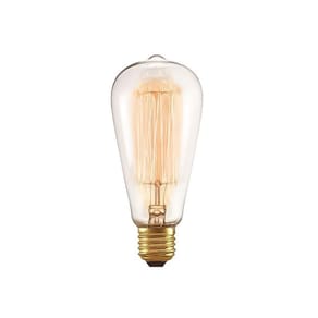 Lâmpada Filamento De Carbono - St64 - 110V