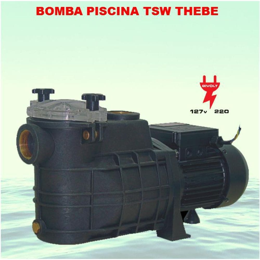 Bomba Para Piscina Com Pré-Filtro 1/2Cv Ebara Thebe