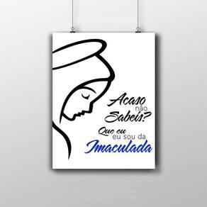 Placa Decorativa Da Imaculada Conceição 20X30Cm