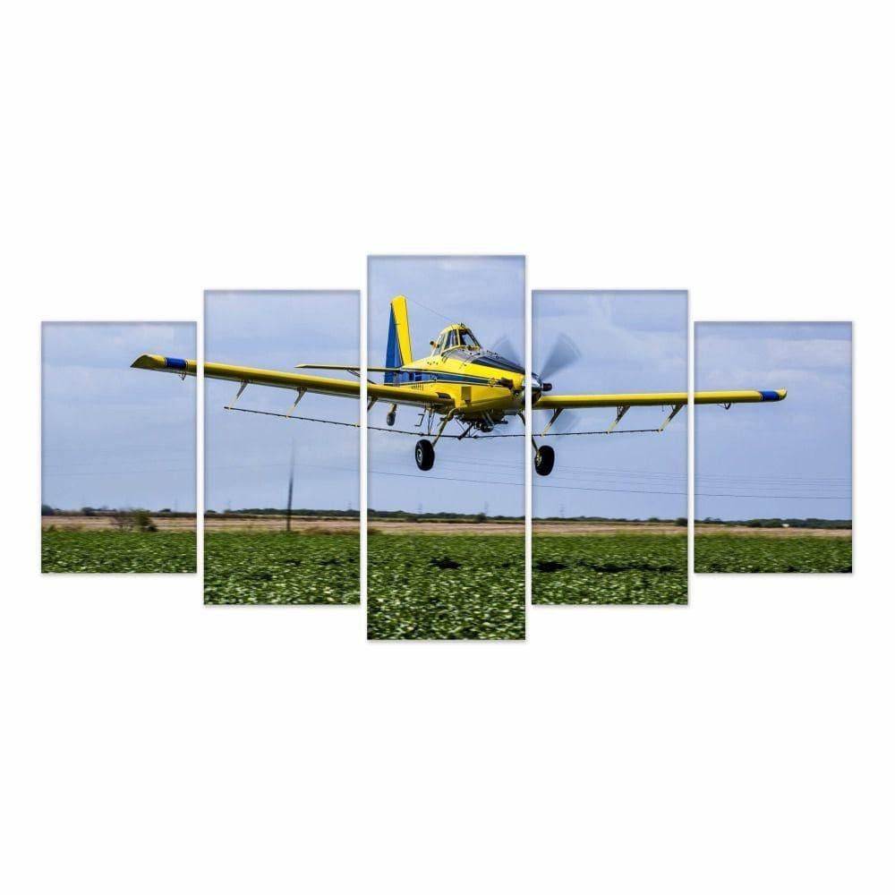 Quadro Decorativo Mosaico 5 Peças Avião Pulverizador