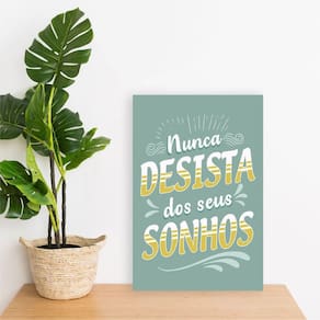 Placa Decorativa Nunca Desista Dos Seus Sonhos 20X30Cm