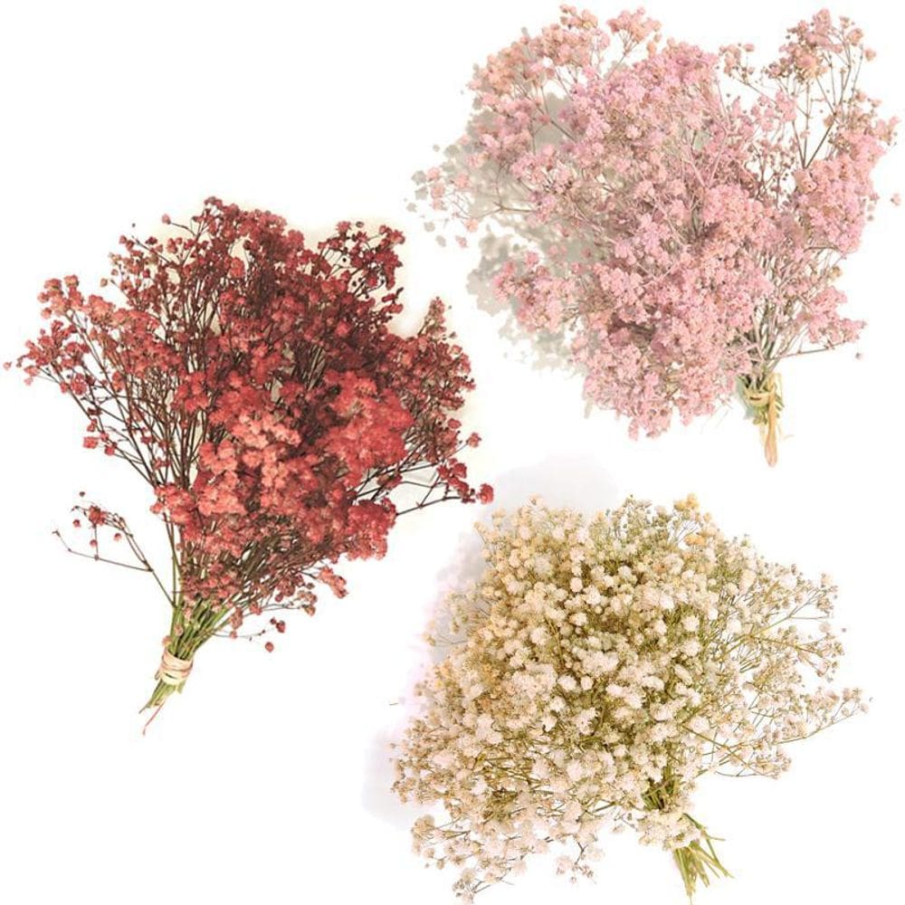 6 Mini Buquês de Gypsophila mosquitinho R Br Ma