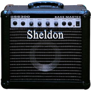 Caixa Amplificada Sheldon Bss300 30W 110/220V Contrabaixo