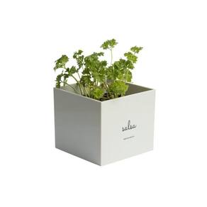 Kit Minha Horta Urbana Cinza