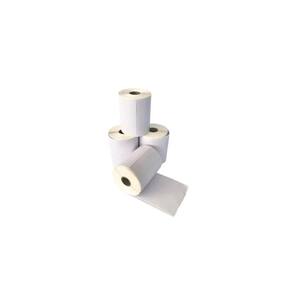 Kit 10 Rolos Etiqueta 10X15 Cm Térmica Serrilha