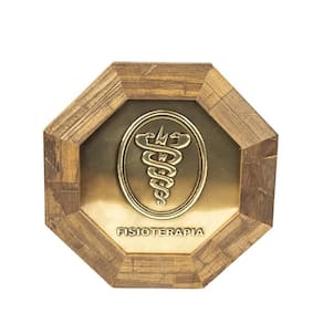 Quadro Oitavado Profissão Fisioterapia Madeira Escura