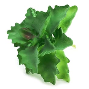 Planta Suculenta Artificial Plástico 10X11Cm Modelo 5