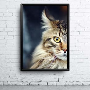 Quadro Cat A4