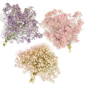 6 Mini buquês gypsophila mosquitinho rs br r