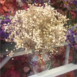 Kit 6 Mini Buquês de Gypsophila mosquitinho