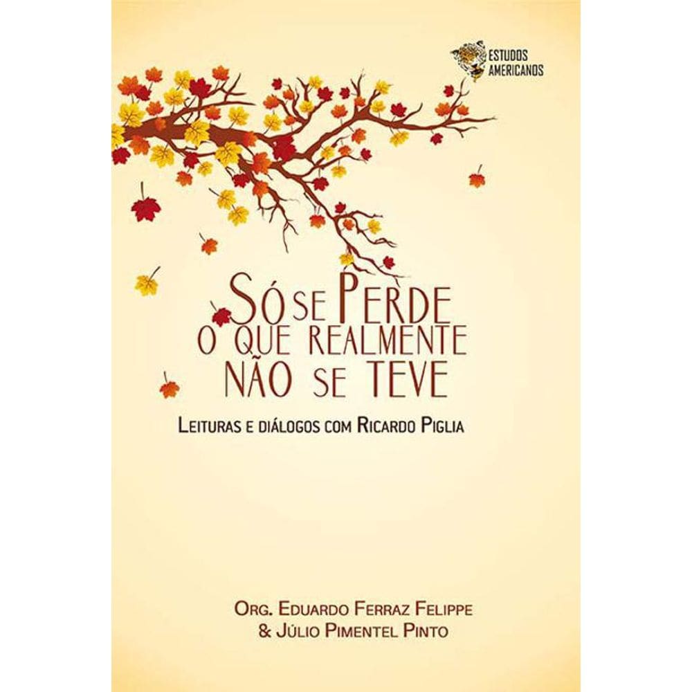 Livro Só Se Perde O Que Realmente Não Se Teve