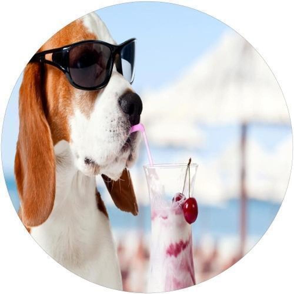 Capa De Estepe Ecosport Aircross Dog Verão