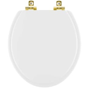 Assento Sanitário com Amortecedor Atlantis Branco para vaso Hervy com Ferragem Dourada