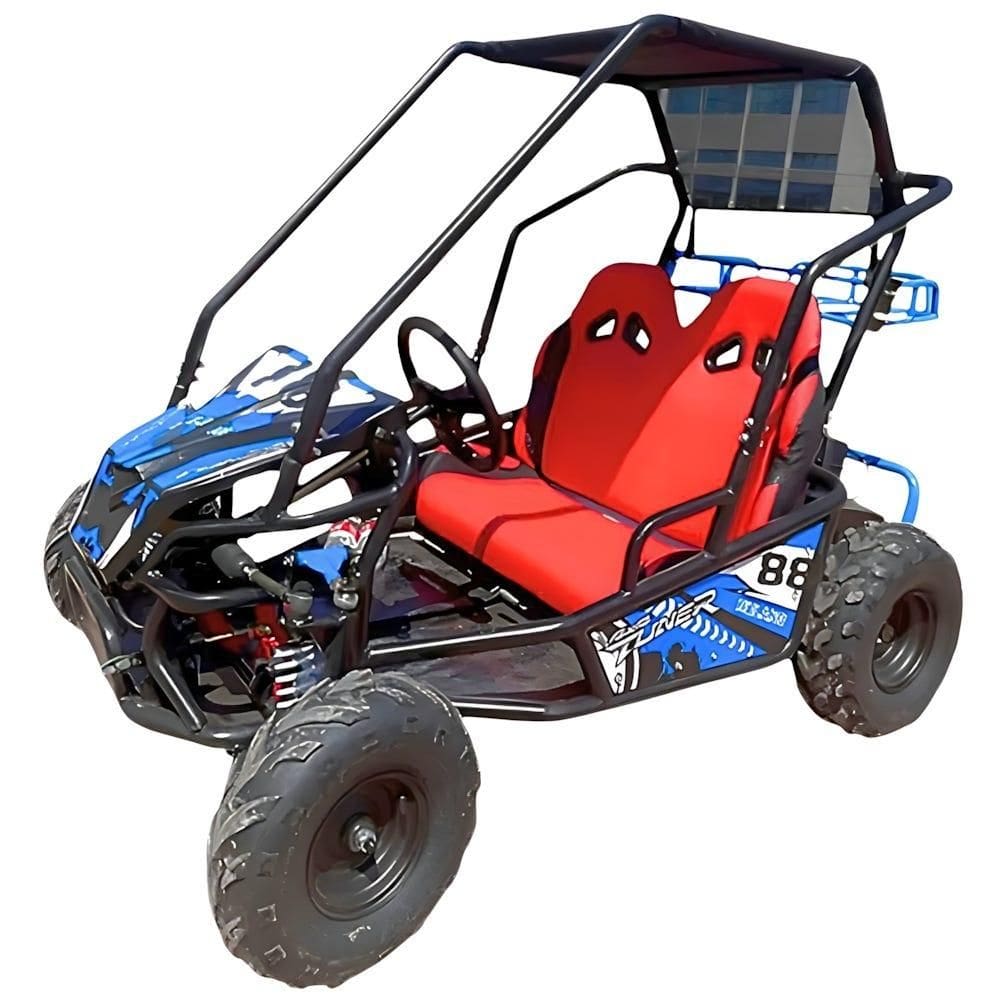 Mini Buggy à Gasolina 110cc com 2 Assentos IMPORTWAY | Casas Bahia