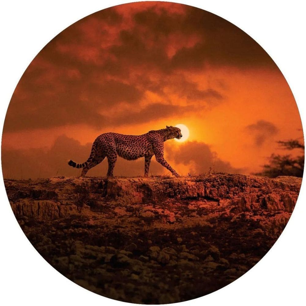 Capa de Estepe Ecosport Aircross Guepardo