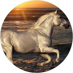 Capa De Estepe Ecosport Aircross Cavalo Mar