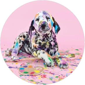 Capa De Estepe Ecosport Aircross Crossfox Dalmata