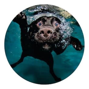 Capa De Estepe Ecosport Aircross Crossfox Dog Nadando