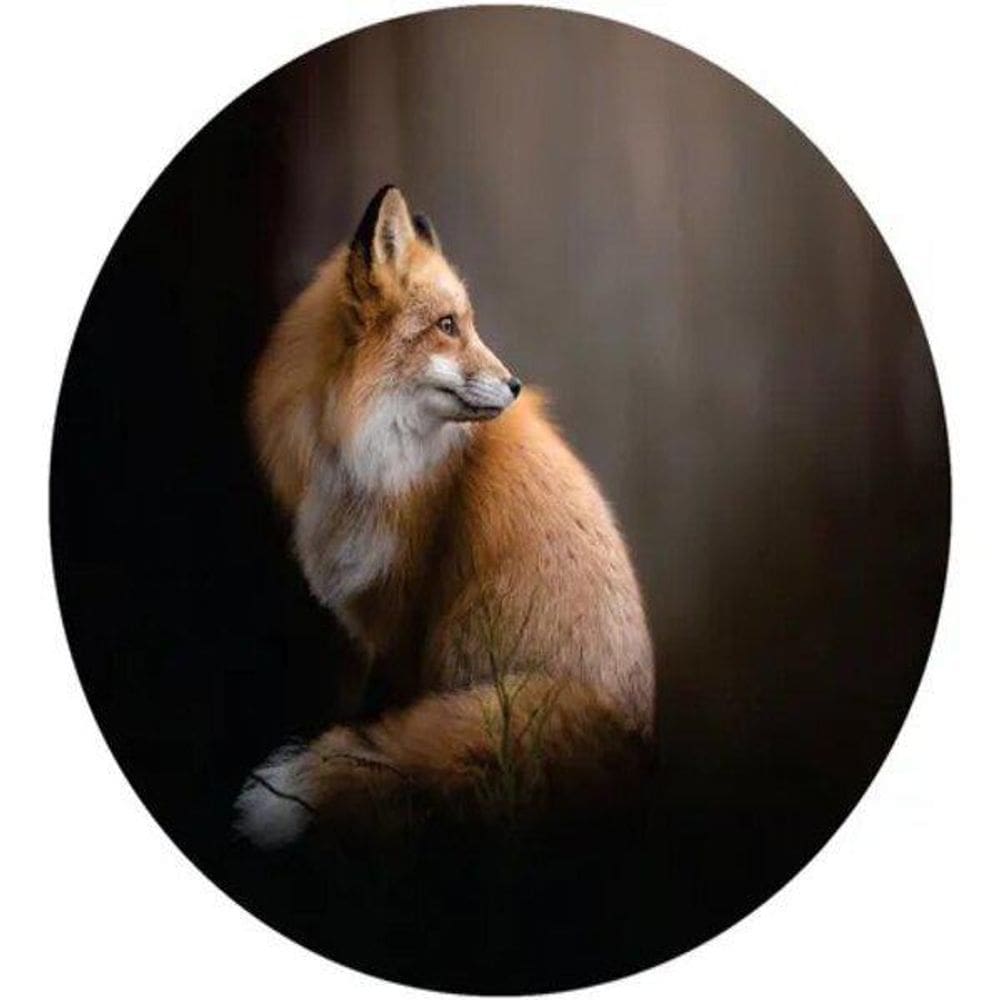 Capa De Estepe Ecosport Aircross Crossfox Raposa