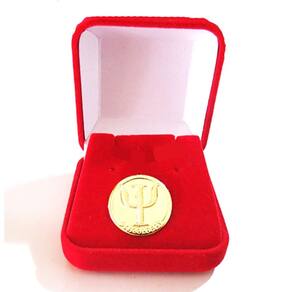 Broche Psicologia Psicologa Folheado A Ouro 18k