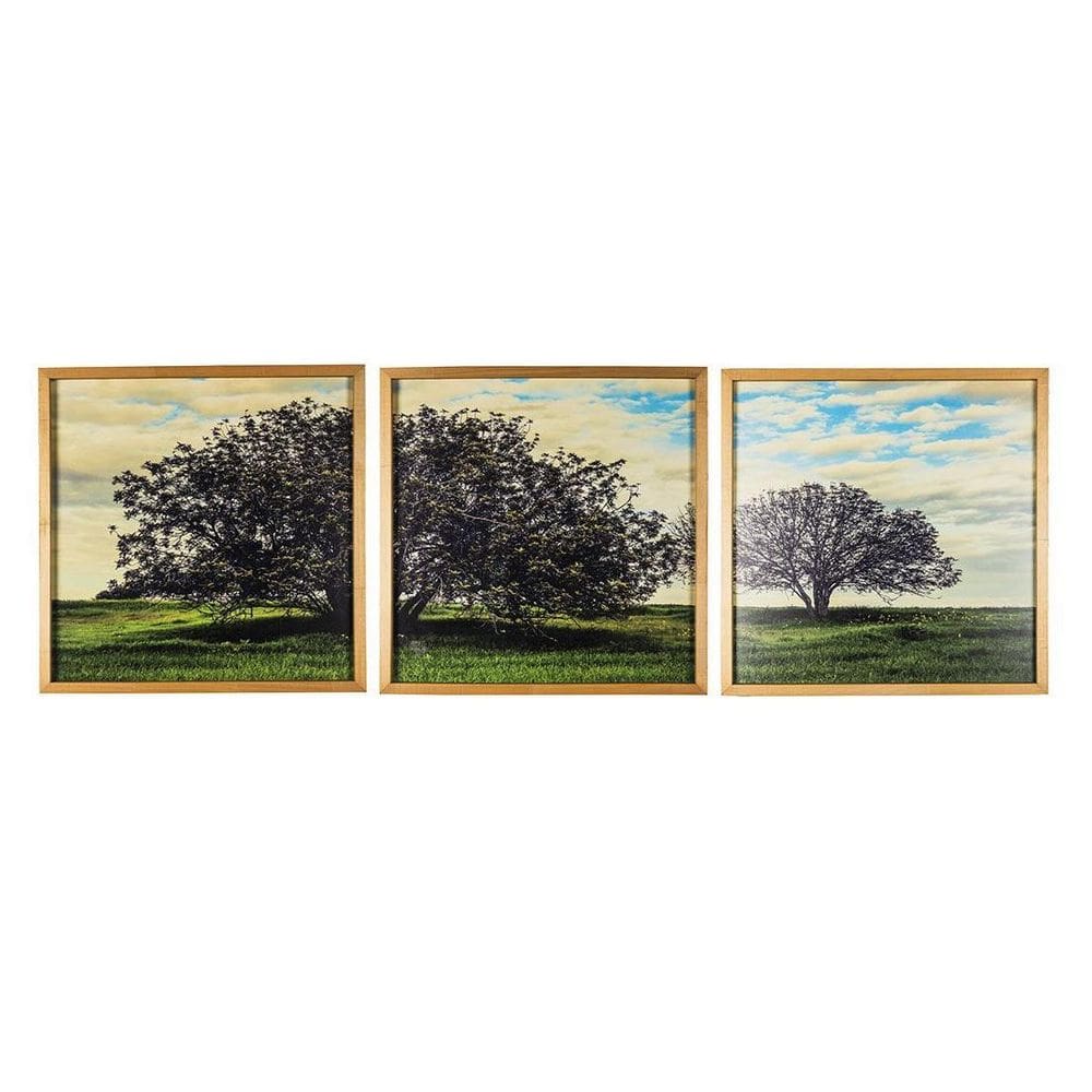 Quadro Trio Campo Jardim Árvore Com Moldura Em Madeira Vidro