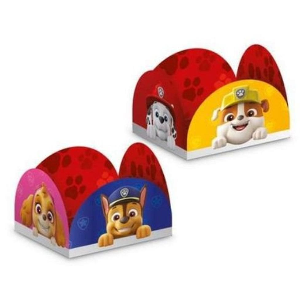 Forma 4 Petalas Patrulha Canina C/50 Regina