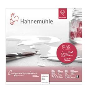 Expression Hahnemuhle 300g Fina 30x30 25fls 10628669