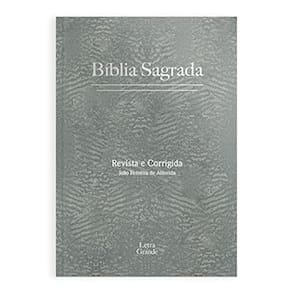 263.226 - Biblia Rc Evangelize Letra Grande Capa Dura Cinza