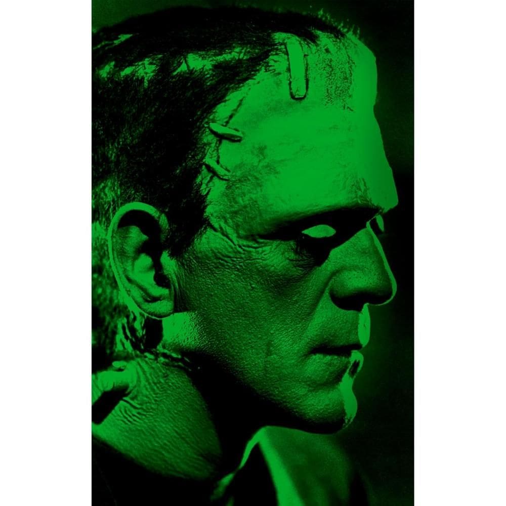 Frankenstein (2509)