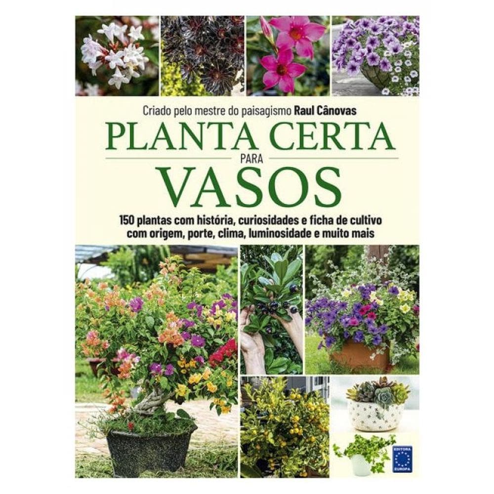 Planta Certa Para Vasos